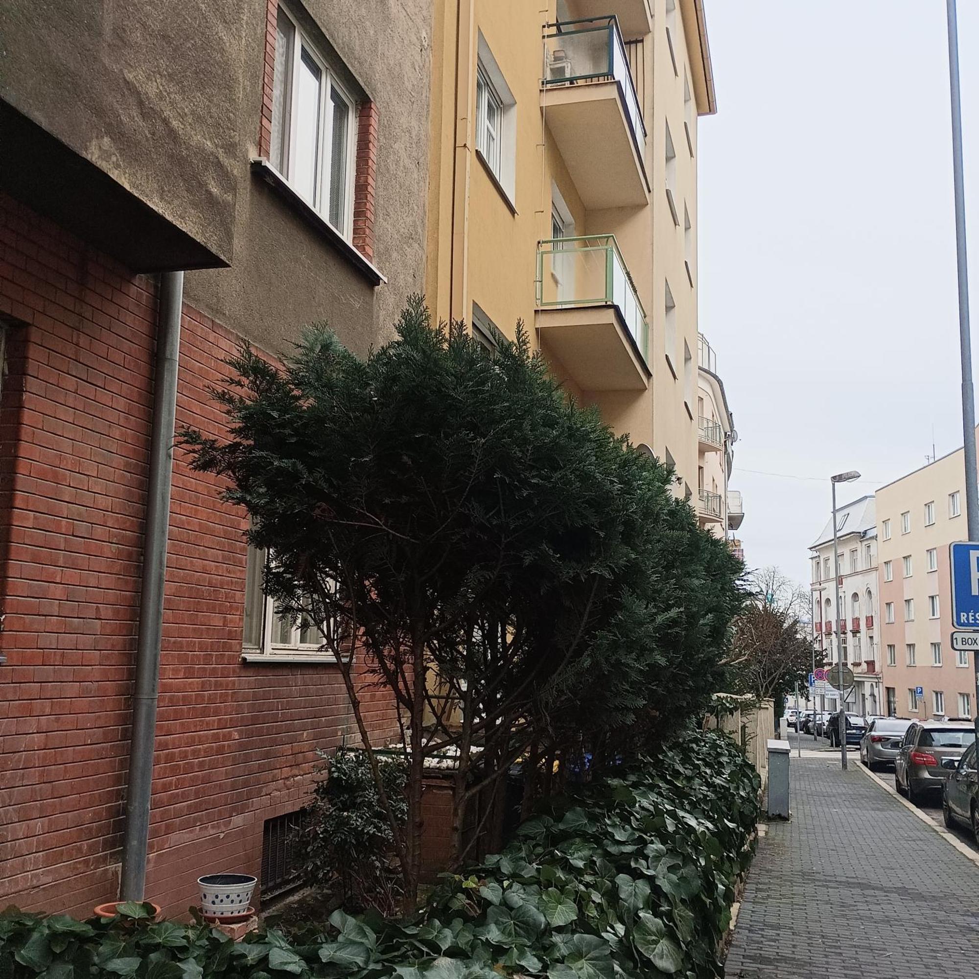 Mona Lisa Apartment Братислава Екстериор снимка